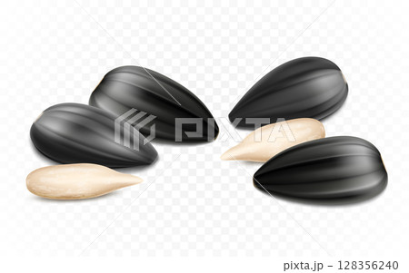 Ripe sunflower seeds, peeled seeds, detailed realistic 3d vector. isolated on transparent background, closeup 128356240