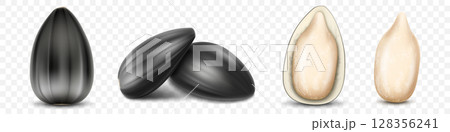Ripe sunflower seeds, peeled seeds, detailed realistic 3d vector. isolated on transparent background, closeup 128356241