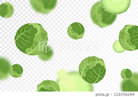 Cabbage background. Flying or falling fresh cabbage isolated on transparent background. Can be used for advertising, packaging, banner, poster, print. Flat design. Nature product. Vector illustration 128356264
