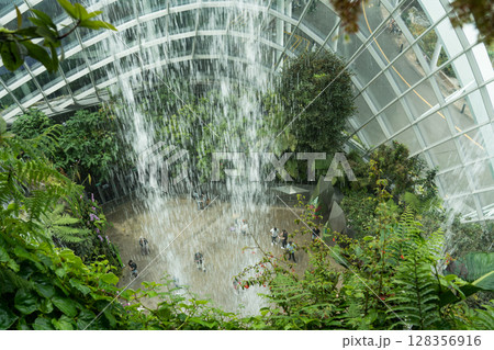 クラウド・フォレスト クラウド・フォレスト 128356916