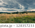 Summer field with dramatic clouds, Czechia, Czech Canada, Lipnice 128357233