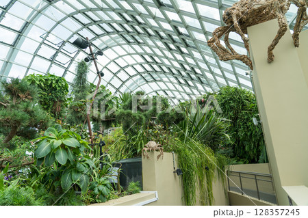 クラウド・フォレストのロスト・ワールド クラウド・フォレストのロスト・ワールド 128357245