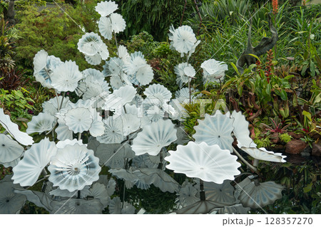 クラウド・フォレストのロスト・ワールド 128357270