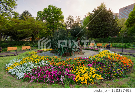 夕暮れの日比谷公園の花壇 128357492