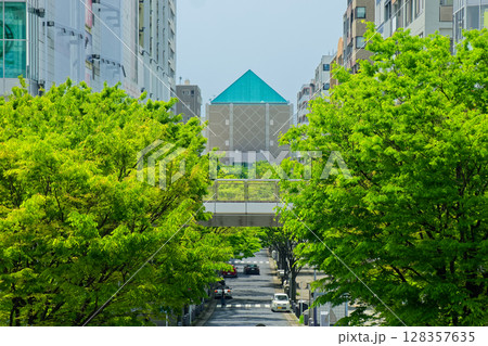 横浜歴史博物館と新緑の並木 128357635