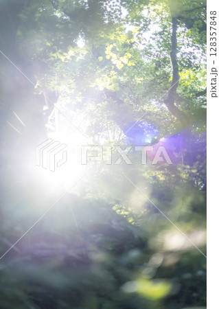 森の新緑・清流・エコイメージ（大山木谷沢渓流） 128357848