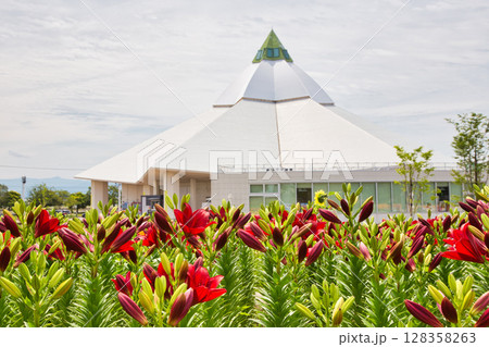 ゆりが咲きほこる”ゆりの里公園” 128358263