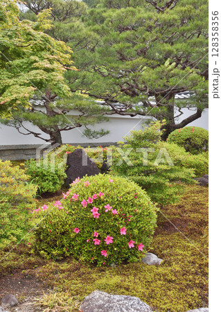 圓光寺の山門の庭 圓光寺の山門の庭 128358356