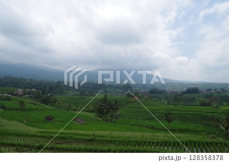インドネシア　世界遺産バトゥカル山のスバック景観　ジャティルイの棚田 128358378