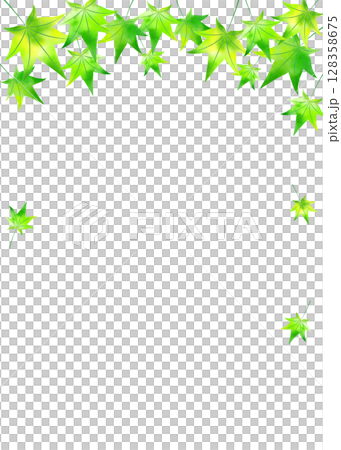 清爽的新綠色楓葉框架插圖背景傳單材料垂直白色背景png 128358675