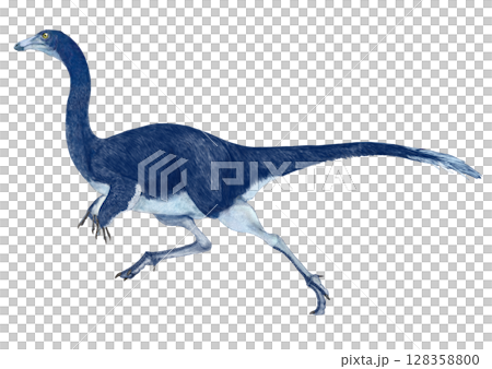 Olmithomimus - A representative dinosaur of the Olmimididae class, also known as ostrich-like dinosaurs. Olmithomimus - A representative dinosaur of the Olmimididae class, also known as ostrich-like dinosaurs. 128358800