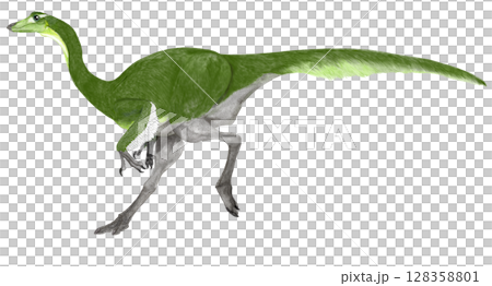 Struthiomys - A large dinosaur of the Ormimid group, also known as an ostrich-like dinosaur. Struthiomys - A large dinosaur of the Ormimid group, also known as an ostrich-like dinosaur. 128358801