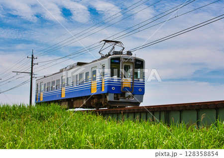 淵龍の池から睡蓮とえちぜん鉄道を見る 128358854