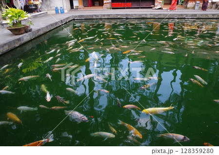 インドネシア　バリ島　ティルタウンプル寺院 128359280