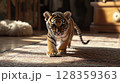 A young tiger cub walks on a soft rug in a warm and inviting room. The sunlight filters in, highlighting its playful demeanor and striking markings as it curiously investigates its surroundings. 128359363