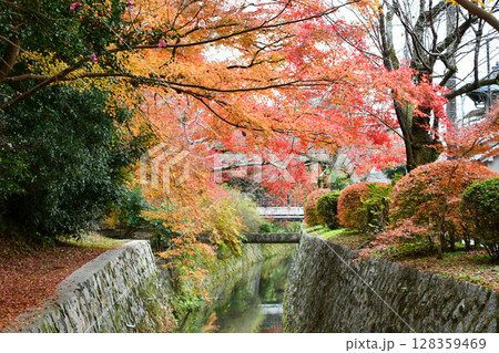 京都の秋 哲学の道 Autumn in Kyoto, Tetsugaku-no-michi 京都の秋 哲学の道 Autumn in Kyoto, Tetsugaku-no-michi 128359469