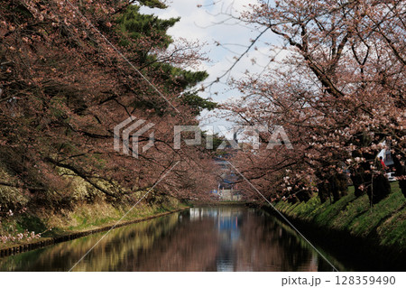 弘前公園外濠の桜(一部咲) 弘前公園外濠の桜(一部咲) 128359490