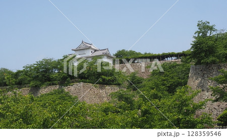 津山城 初夏 津山城 初夏 128359546