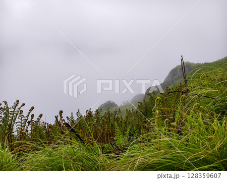 Misty Green Mountain Ridge with Dense Foliage 128359607