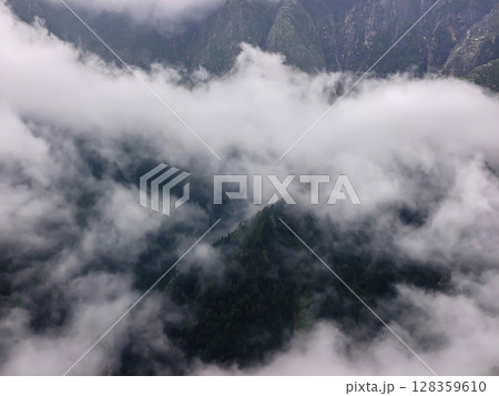 Scenic Forested Landscape Scenic Forested Landscape 128359610