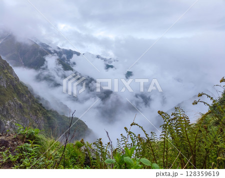 Misty Mountain Vista with Lush Fern Foreground 128359619