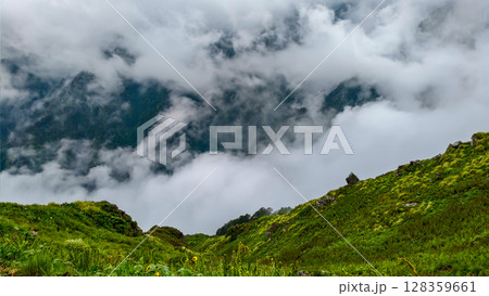 Rocky Slopes and Scenic Forest View Rocky Slopes and Scenic Forest View 128359661