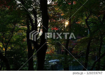 丹波篠山の紅葉 丹波篠山の紅葉 128359747