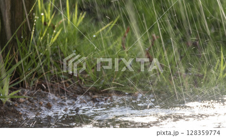 激しく降る雨のイメージ 激しく降る雨のイメージ 128359774