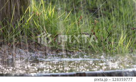 激しく降る雨のイメージ 128359777