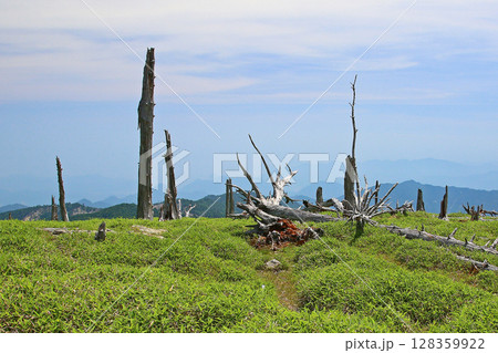 大台ケ原 夏 大台ケ原 夏 128359922
