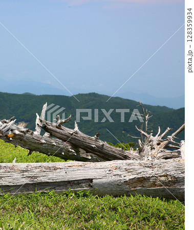 大台ケ原　夏 128359934