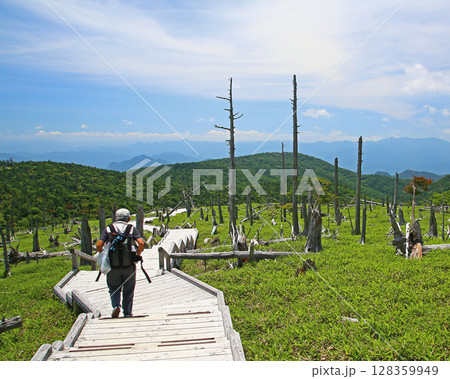 大台ケ原 夏 大台ケ原 夏 128359949