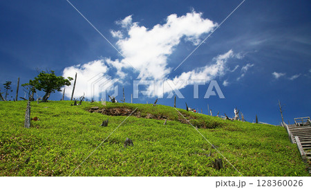 大台ケ原 夏 大台ケ原 夏 128360026
