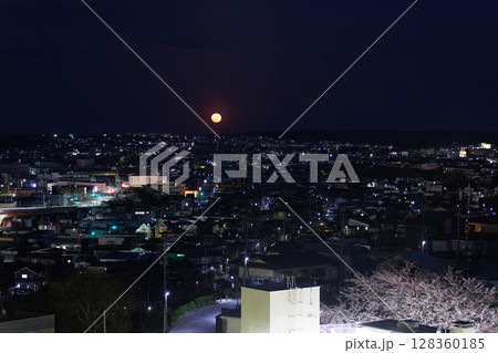 月の出と満開の夜桜（青森県八戸市） 128360185