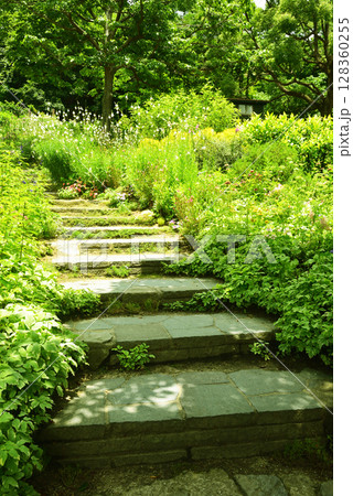 《神戸市》山間部に位置する植物園 布引ハーブ園 128360255