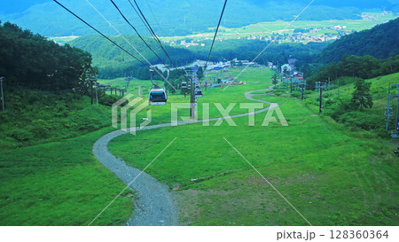 白馬五竜 高山植物園 長野県 白馬五竜 高山植物園 長野県 128360364