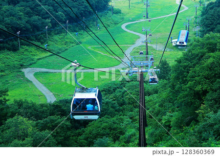 白馬五竜　高山植物園　長野県 128360369
