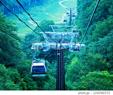 白馬五竜　高山植物園　長野県 128360372