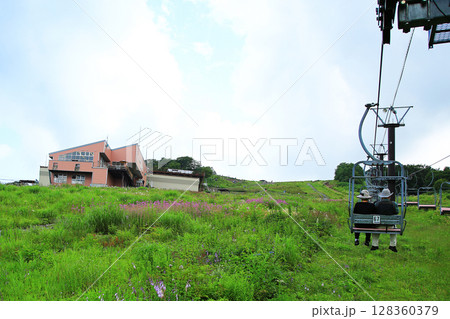 白馬五竜　高山植物園　長野県 128360379