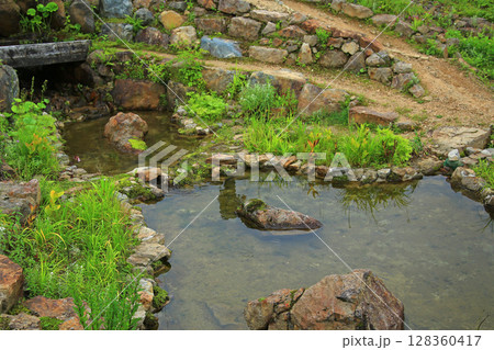 白馬五竜　高山植物園　長野県 128360417