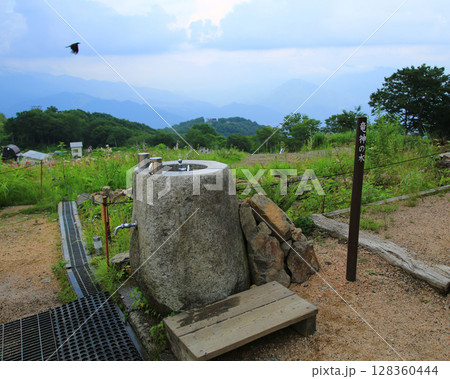 白馬五竜 高山植物園 長野県 白馬五竜 高山植物園 長野県 128360444