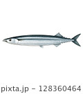 白い背景のサンマ 128360464