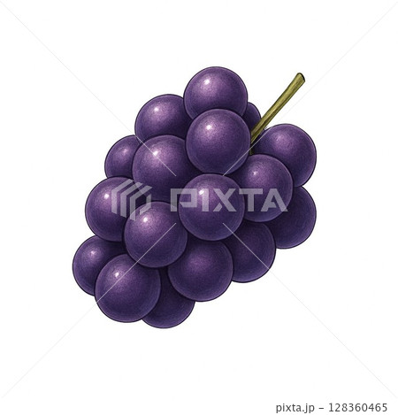 白い背景のぶどう 128360465