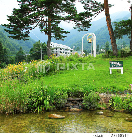 白馬五竜　高山植物園　長野県 128360515