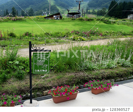 白馬五竜　高山植物園　長野県 128360527