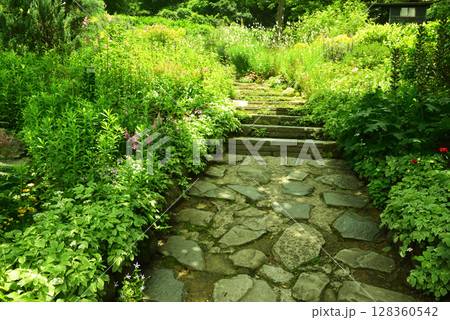 《神戸市》山間部に位置する植物園 布引ハーブ園 128360542