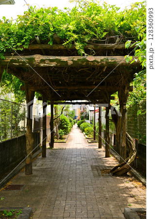 住宅地の緑道のグリーンフェンス 128360993