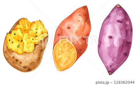 お芋のイラストセット　秋の食材シリーズ　 128362044