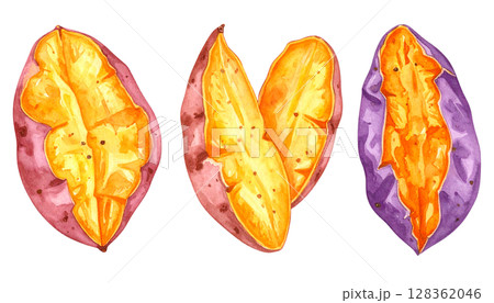 お芋のイラストセット　秋の食材シリーズ　 128362046