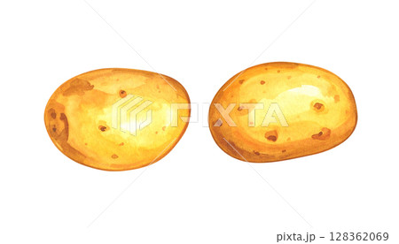お芋の水彩イラスト お芋の水彩イラスト 128362069